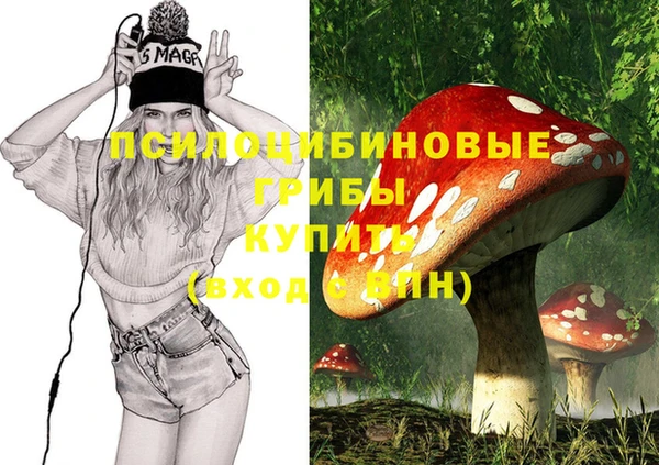 не бодяженный Алексин