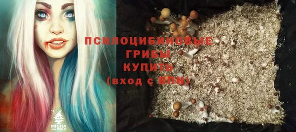 СК Абаза