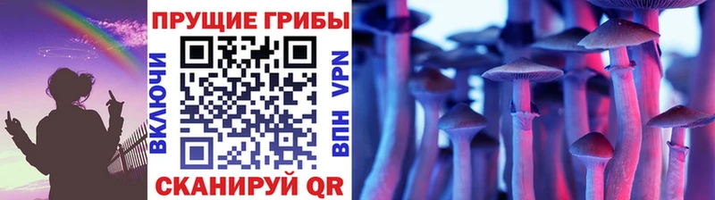 Галлюциногенные грибы Psilocybe  Далматово 